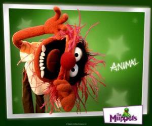 yapboz Animal, Muppet Show grubun çılgın davulcu ilkel bir adam